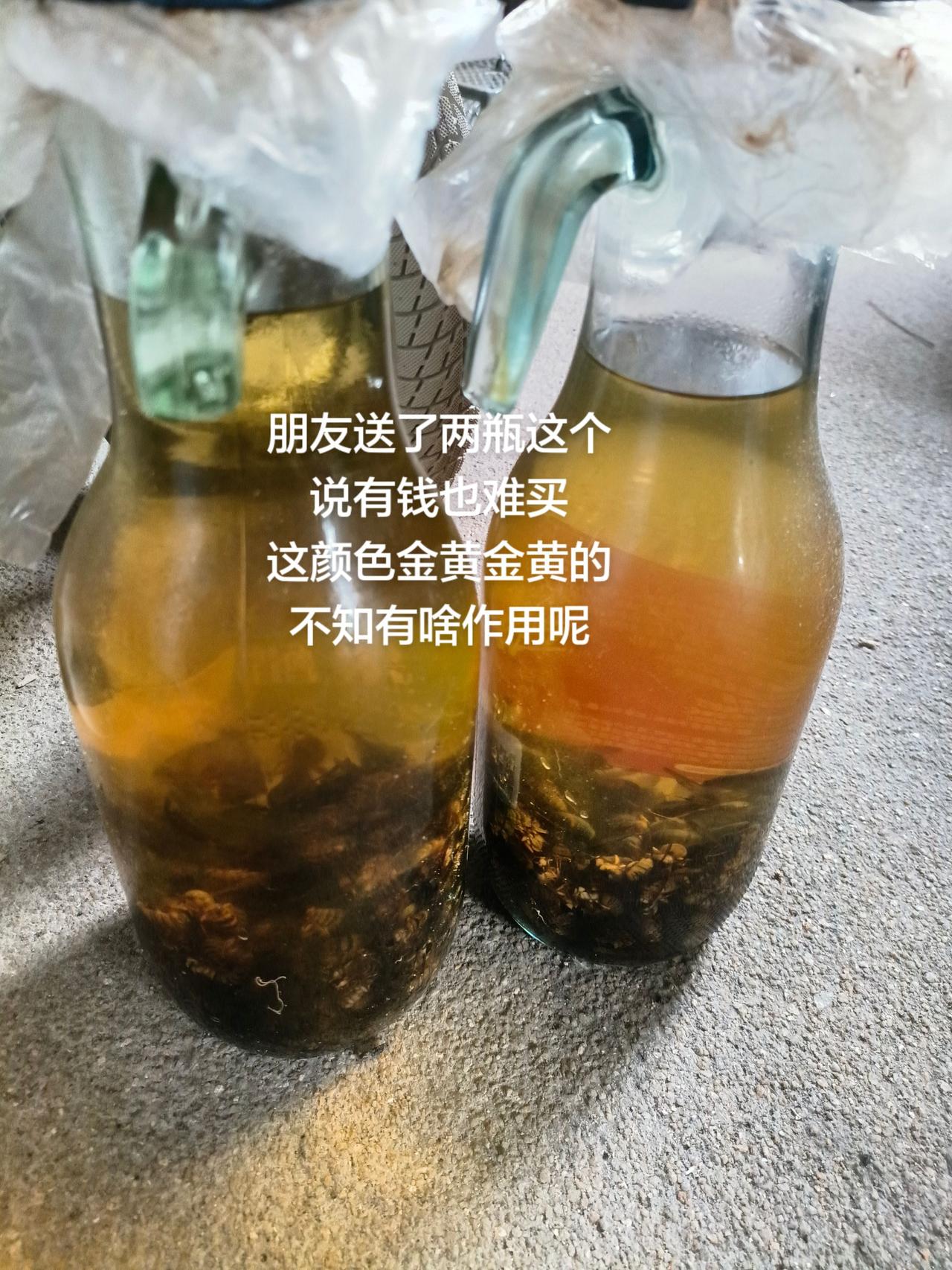 朋友送了两瓶这个
说有钱也难买
这颜色金黄金黄的
不知有啥作用呢
农村生活 蜂酒