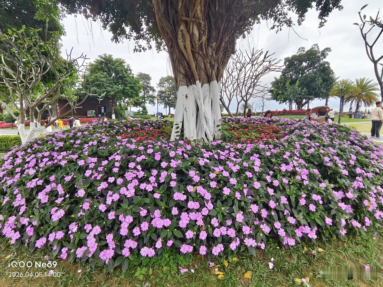 2. 放慢脚步，邂逅不期而遇的风景，治愈日常琐碎