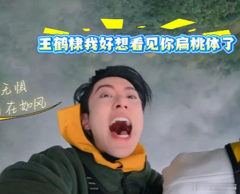 王鹤棣我好像看见你扁桃体了王鹤棣为兄弟心软蹦极好感动 宇宙闪烁蹦极挑战，王鹤棣热