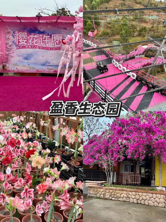🌸盈香心动乐园get绝美出片打卡地