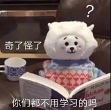 大影子热读汽车