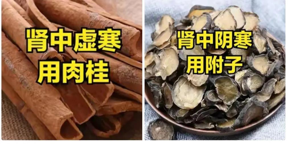 温阳补肾牢记这个思路：肾中虚寒——肉桂，肾中阴寒——附子！
 
虽然同样是入肾经