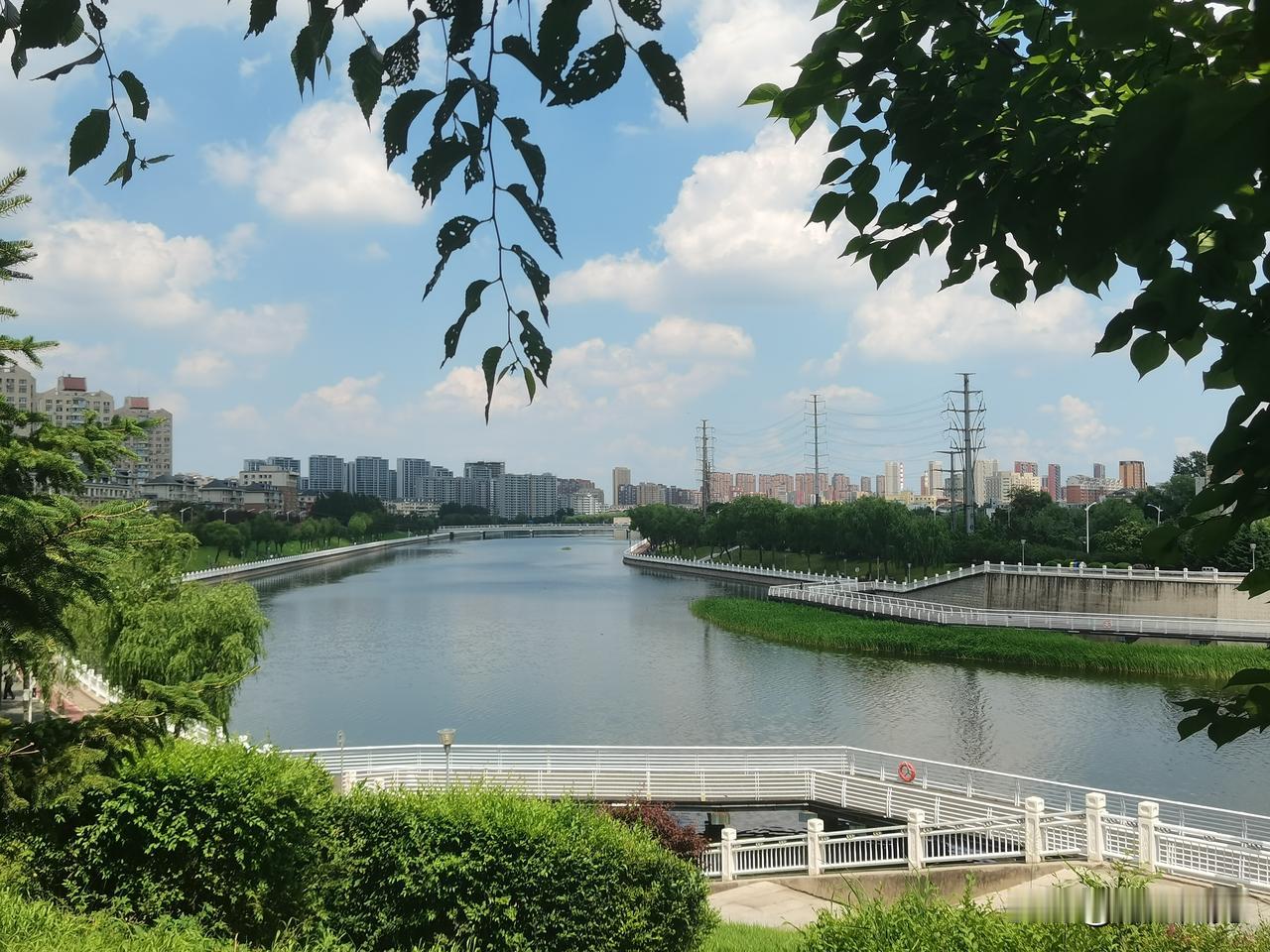 夏日生活打卡季