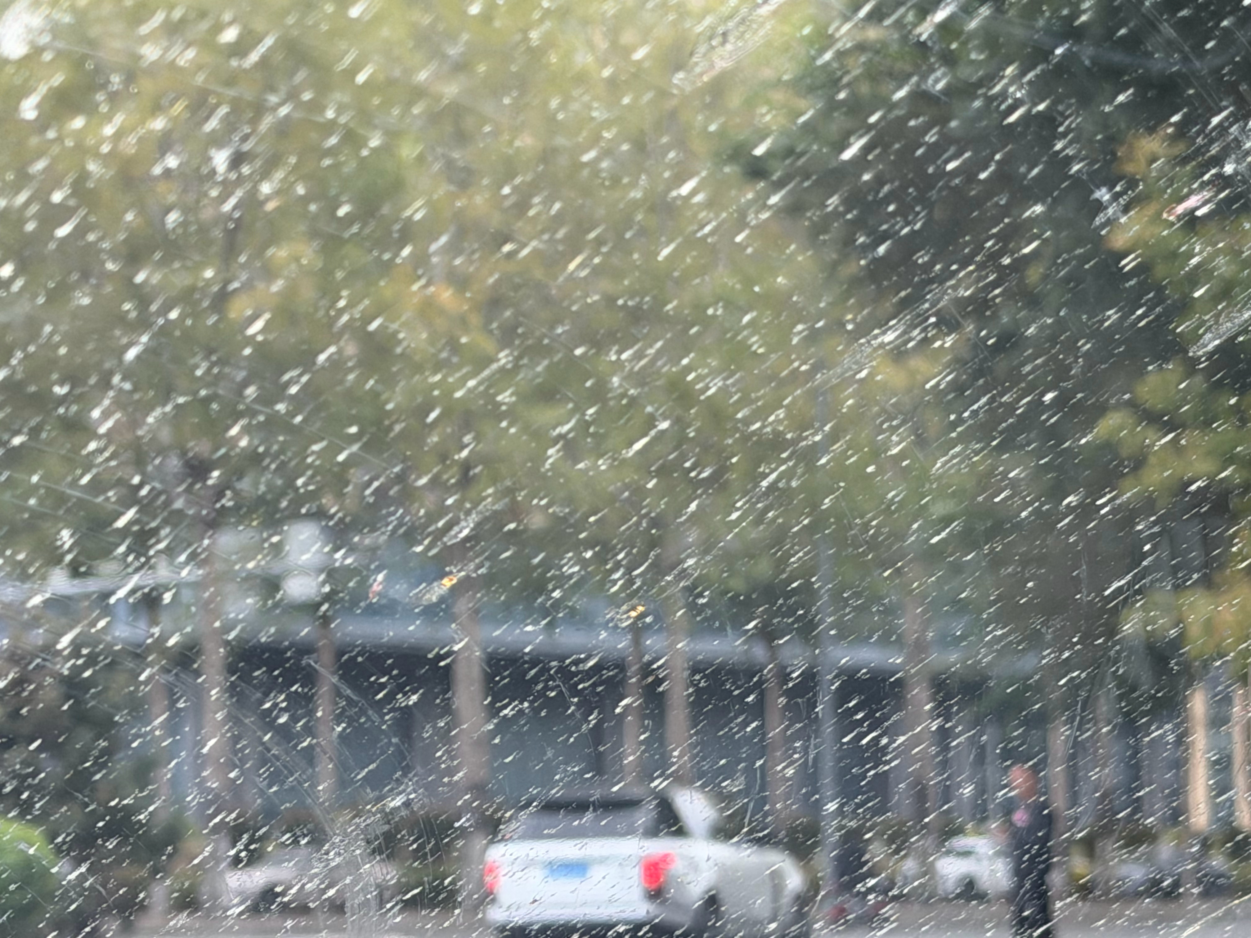 秋天跑高速最大的烦恼，我已经放弃抵抗了[允悲][允悲] ​​​