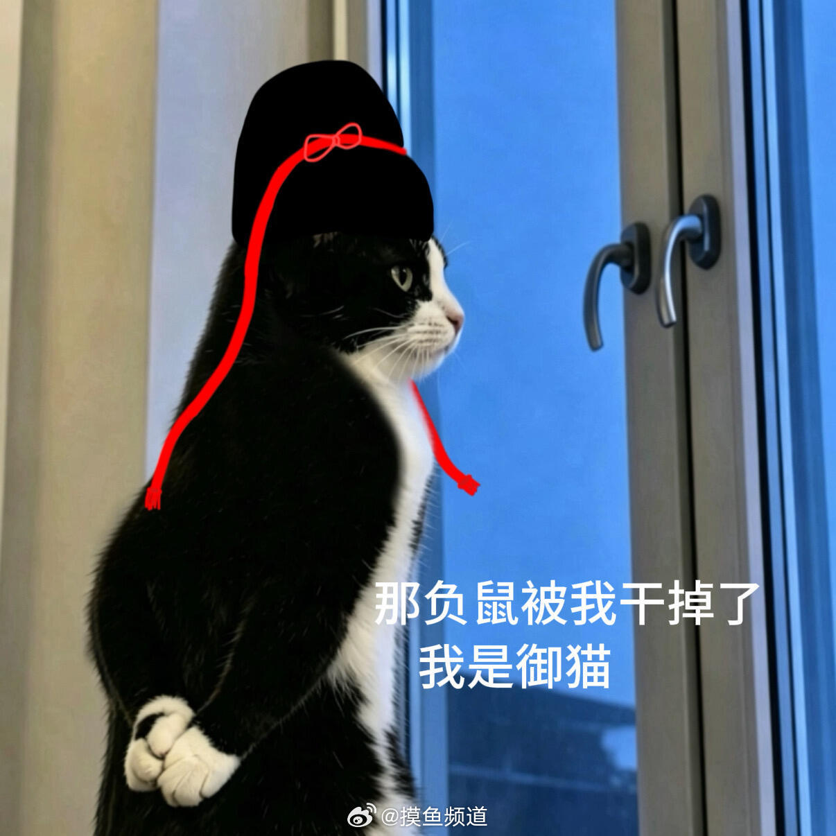 展昭身法最快的一次 最近上网一刷全都是御猫展昭表情包😂感觉《雨霖铃》的讨论度不