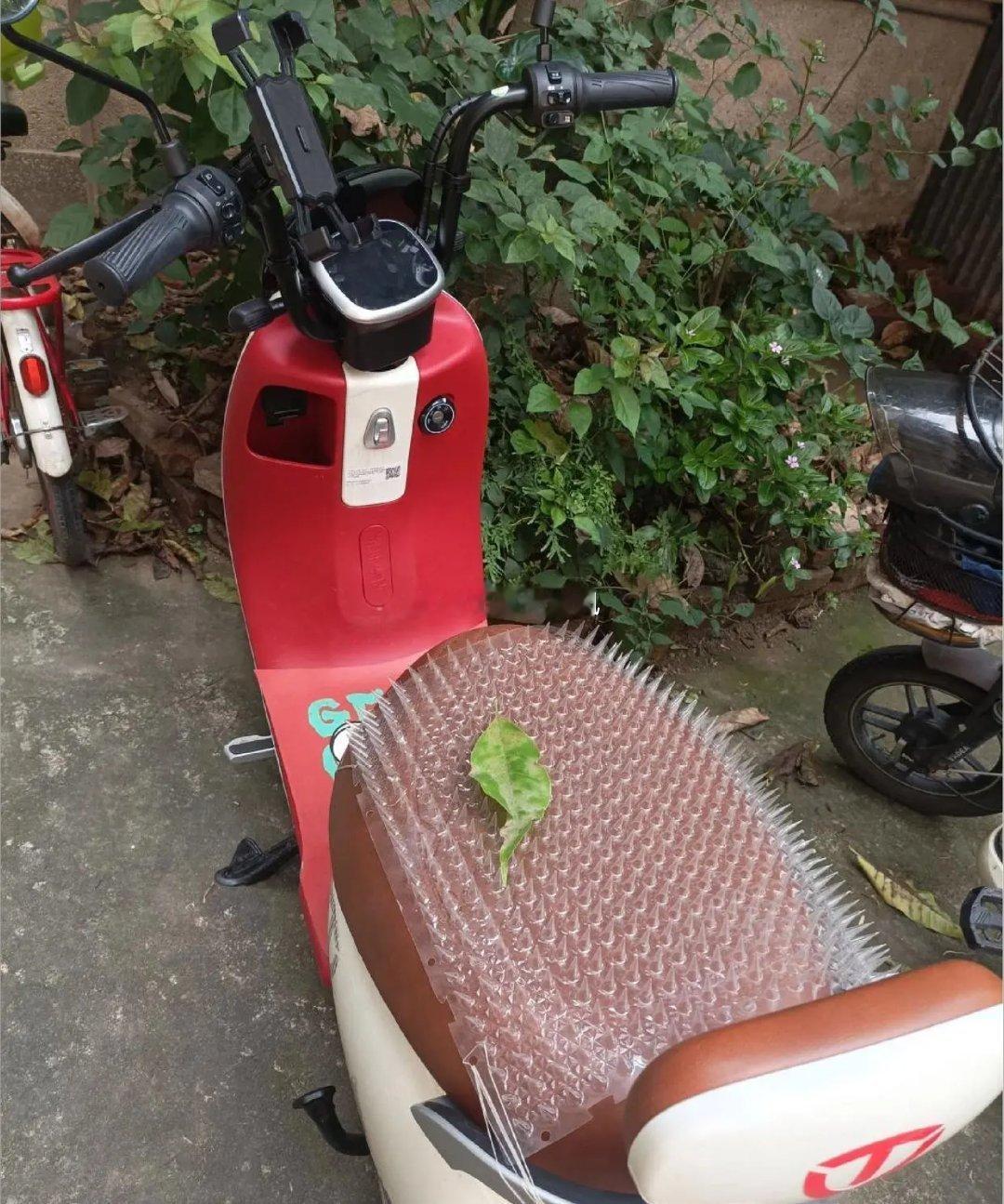 这个车主，肯定非常喜欢按摩吧，车设计的太独特了。 ​​​