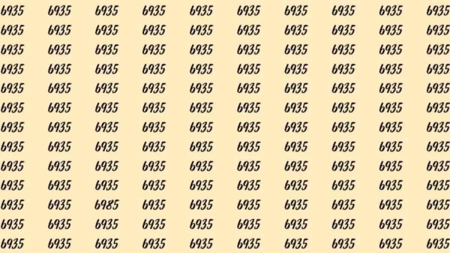 当你面对满屏密密麻麻、几乎一模一样的数字 “6935” 时，一项艰巨而有趣的任务