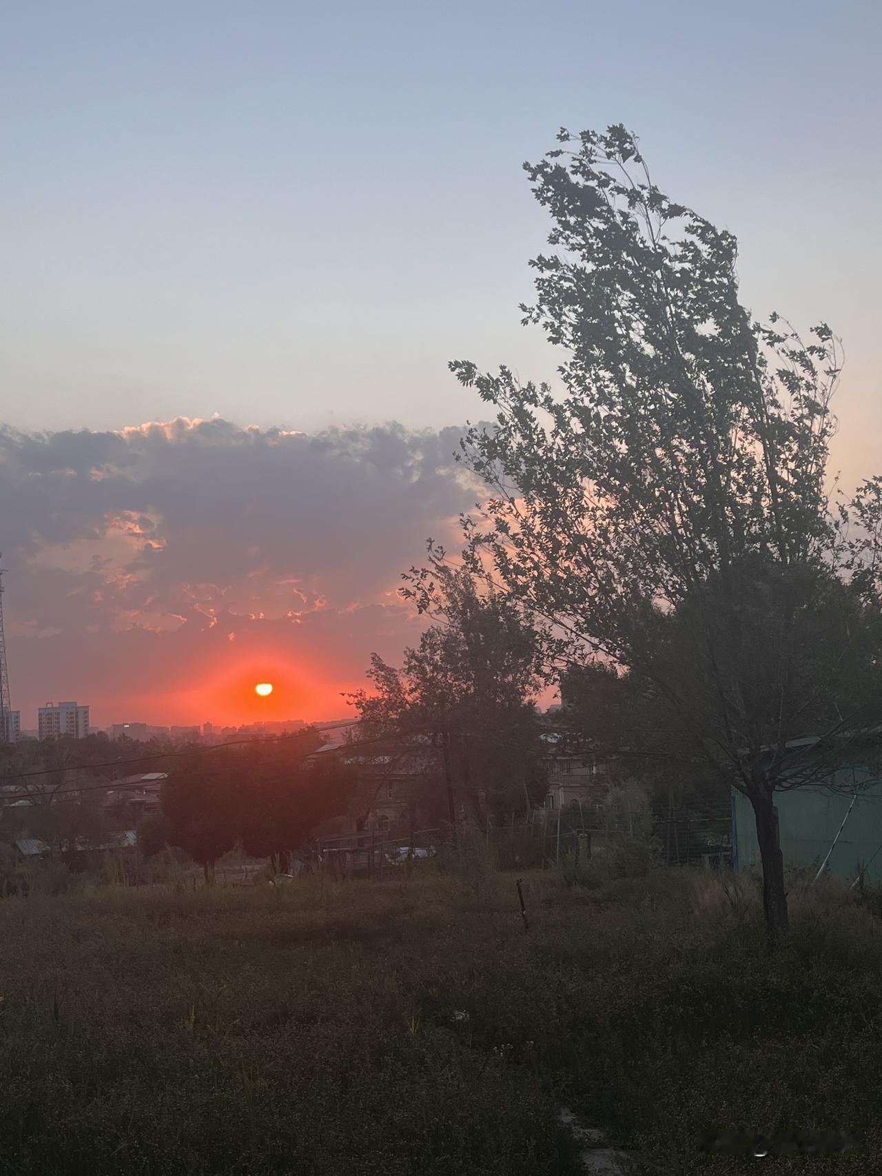 喜欢在山间看日落
夕阳一醉
万物也跟着醉了
云霞染红了天
远处的高楼
被一抹橙红