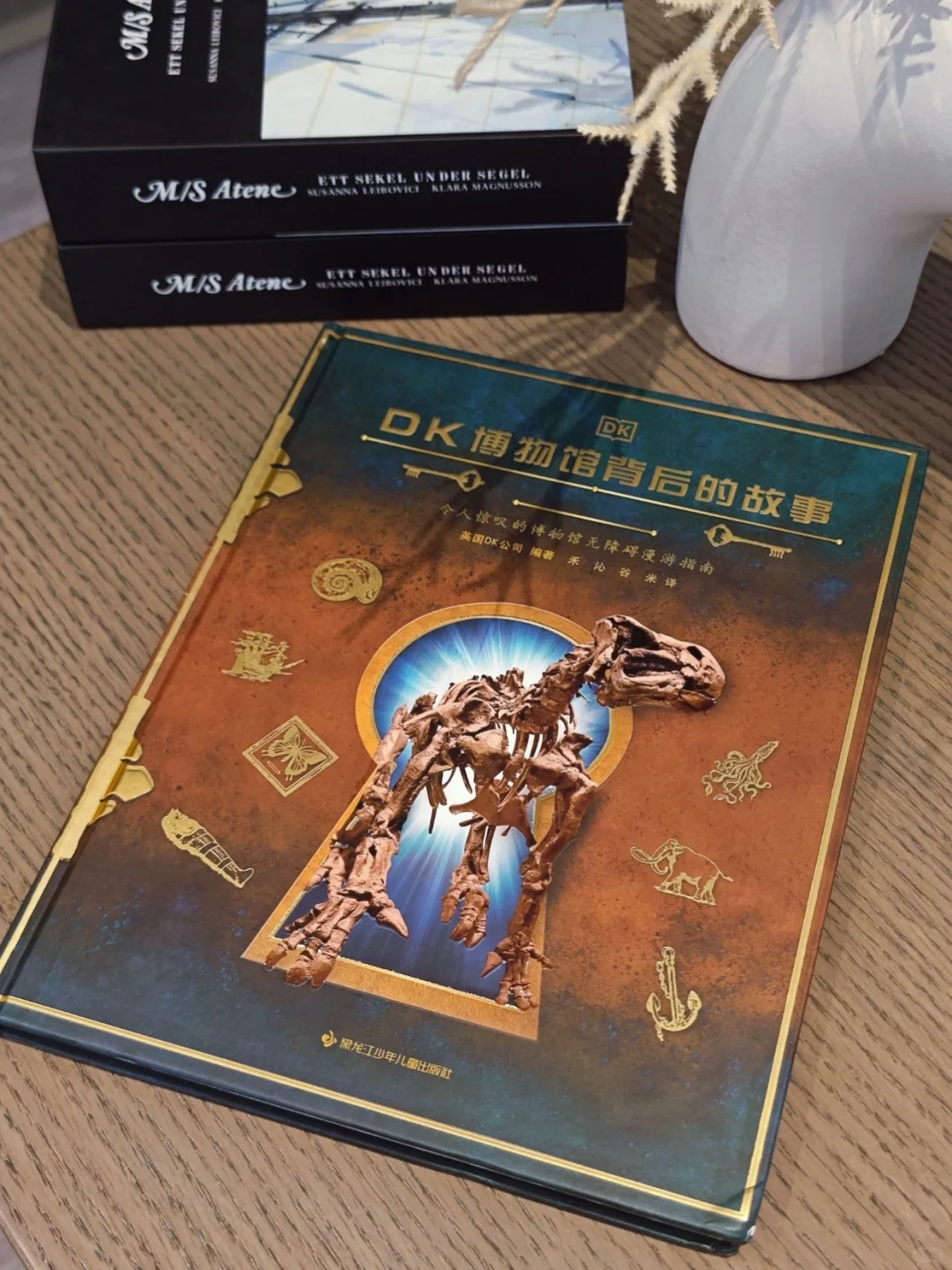 挖到宝了！一本书揭秘博物馆背后的故事～