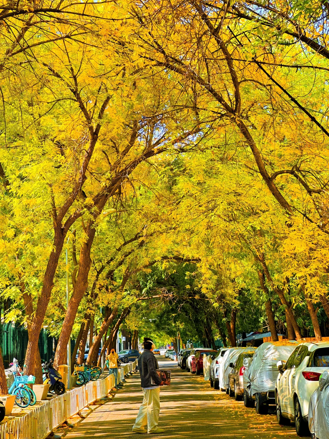 10.13live 求求❗️北京的秋天不要再加滤镜啦