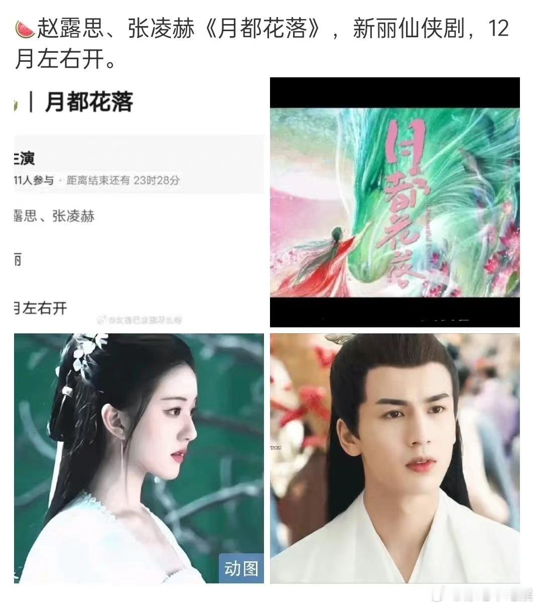 赵露思和张凌赫这一次的合作谁是一番呀？ ​​​