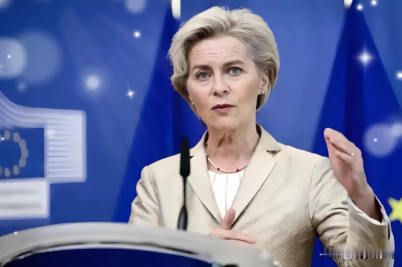 欧盟消息！2025年12月1日，欧盟组织正式宣布撤销对中国WTO诉讼，理由是“争