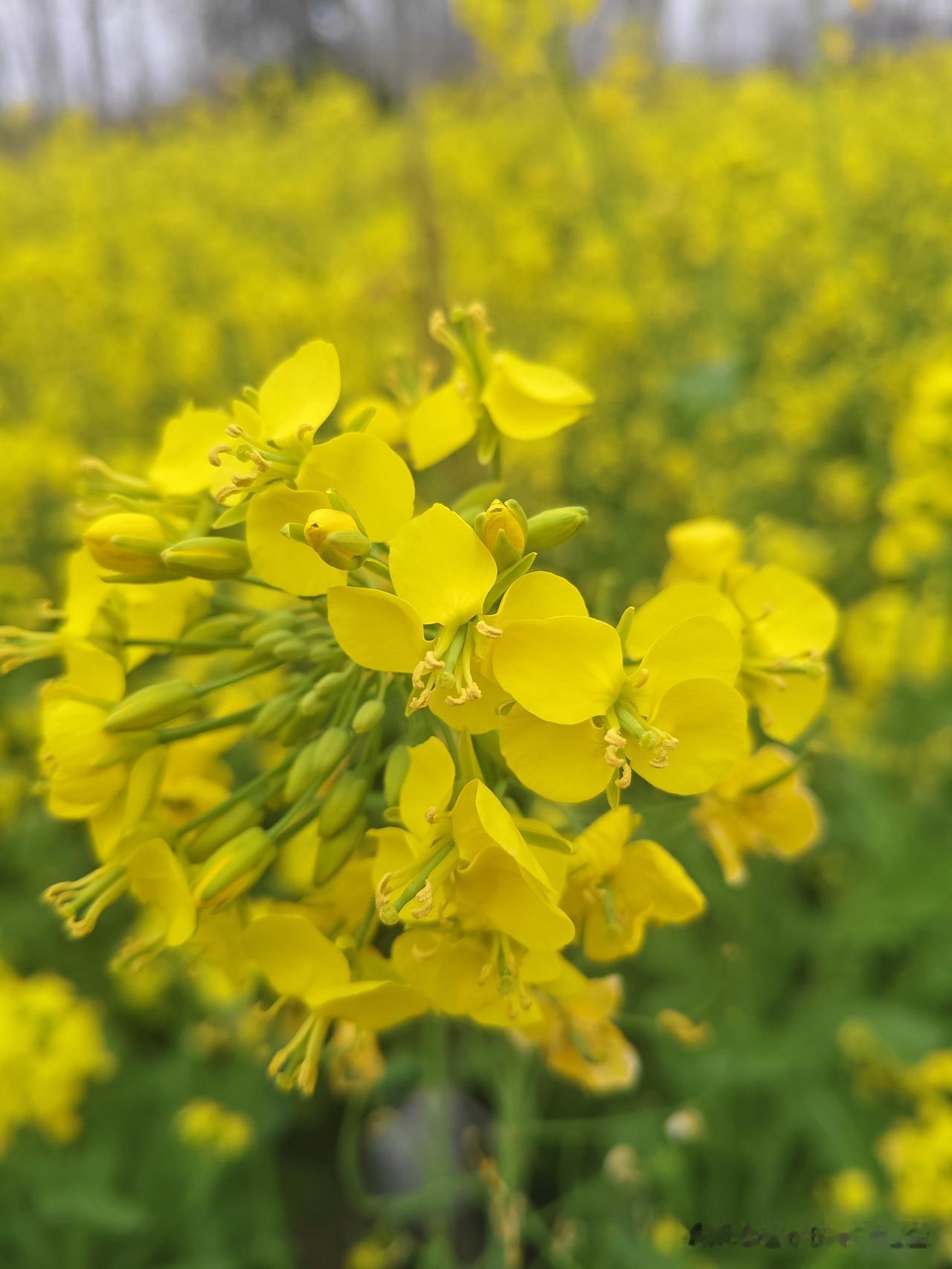 老人千万别“作”
“你现在回来没？”我打电话问我娘家侄子。

“回来了，在家呢！