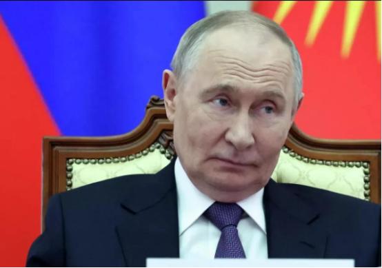 日本政府再被打脸！2025年11月25日，高市早苗派人赴俄求和，不到24小时，俄