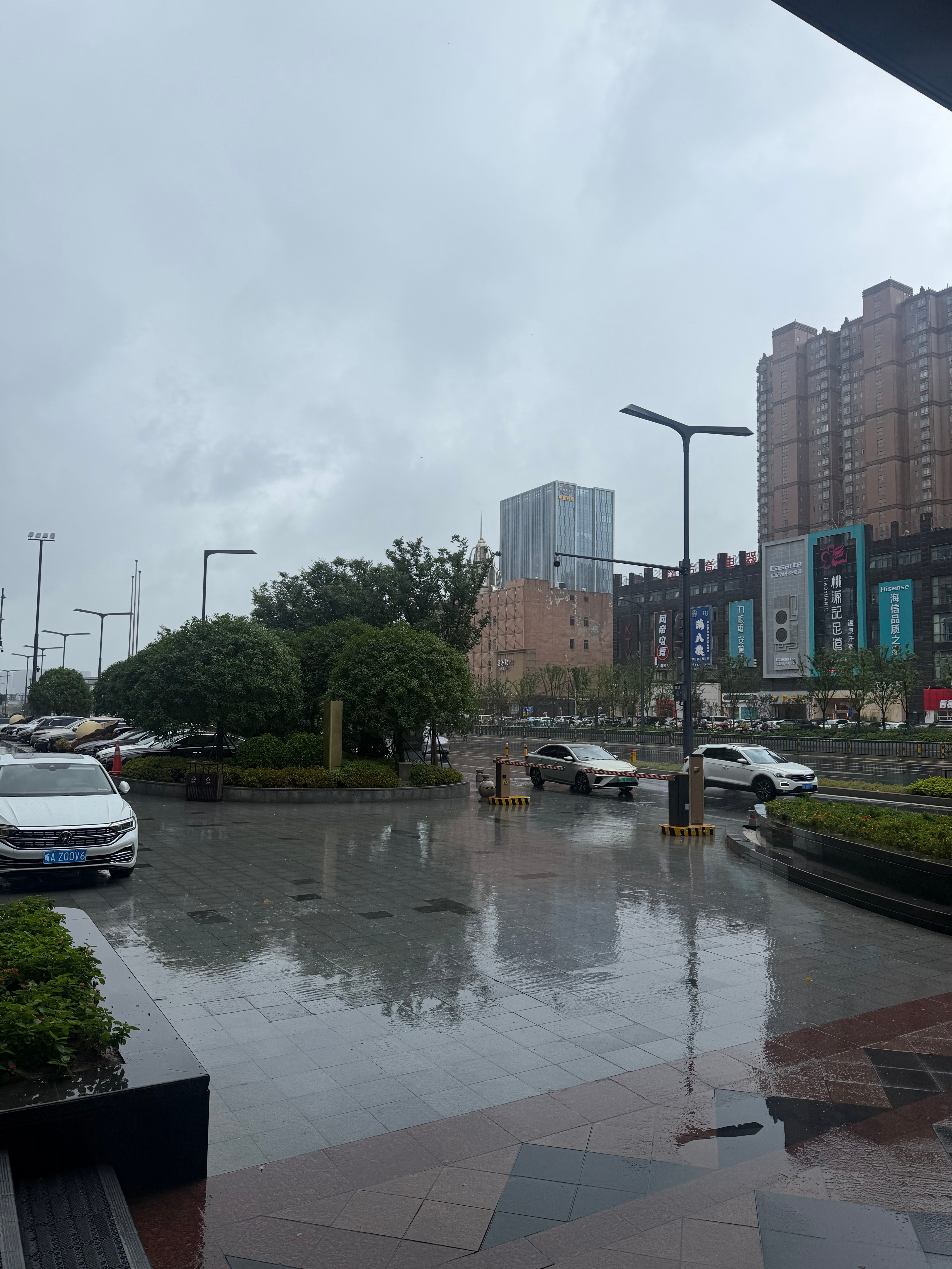 合肥一直下雨又刮风，不知道白海豚会不会影响到合肥很担心晚上的飞机会受影响明天还有