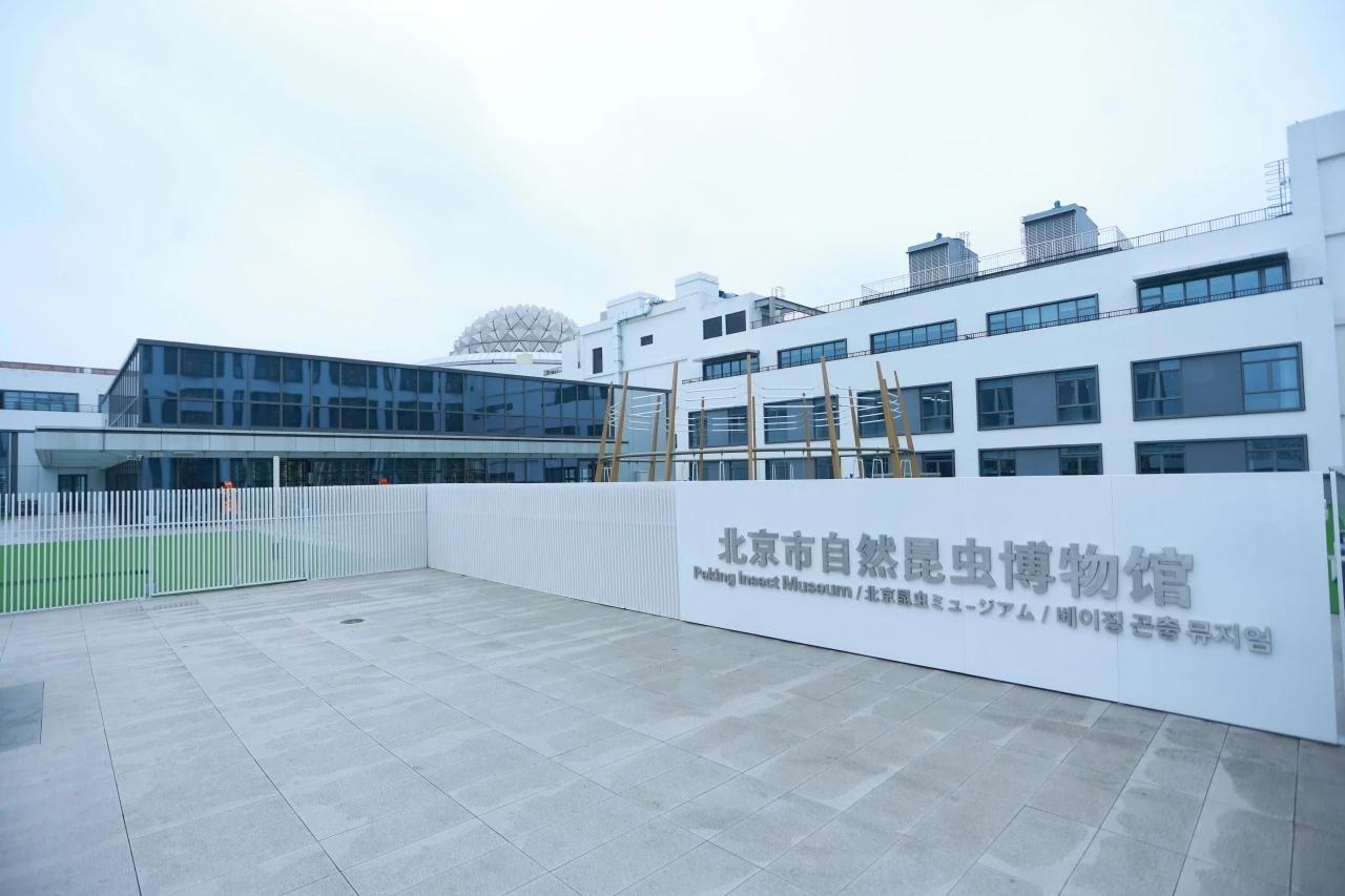 原来南大红门地区是服装城的天地，好多都关了外迁了！大红门博物馆 现在南中轴大红门