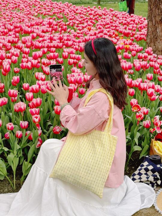 成都动物园郁金香花海已经开爆啦🌷2.17实拍