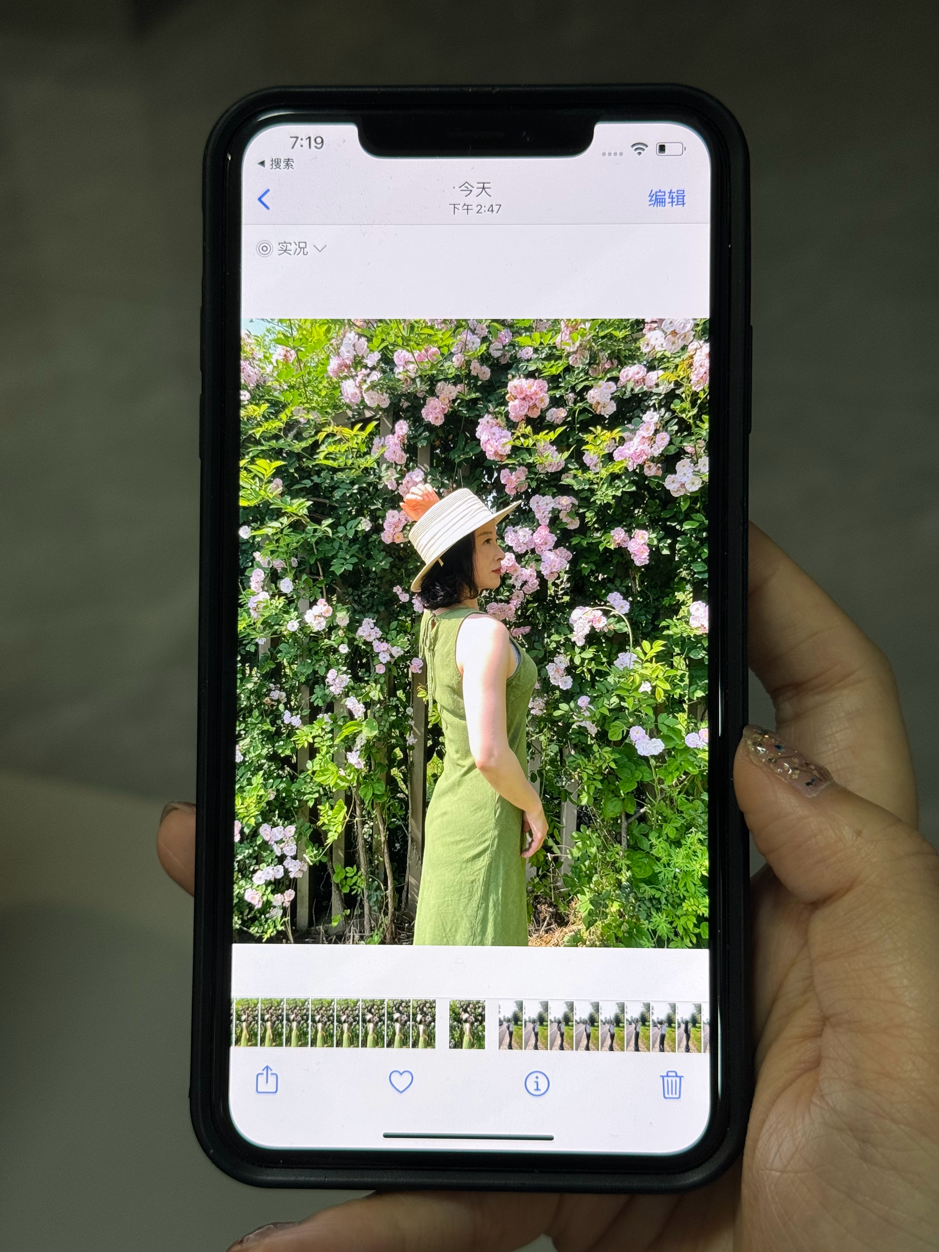 所有人！想拍这样的花花可以去良渚的南停车场p2（在外面不用买门票） 