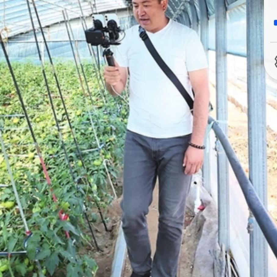 凌晨三点，当大多数人还沉浸在甜美的梦乡时，夏庄的田间地头却早已亮起了一盏盏昏黄的