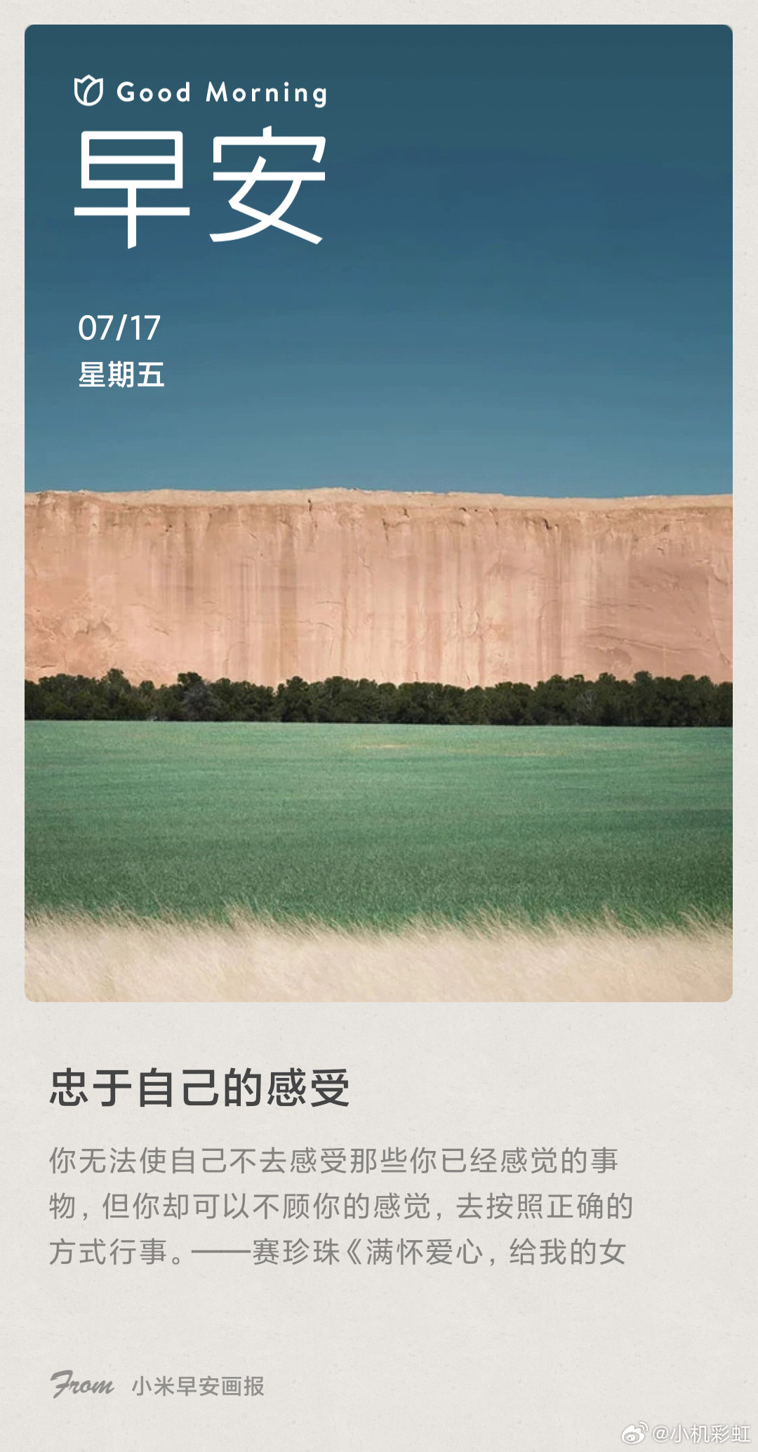 小米画报 忠于自己的感受： 你无法使自己不去感受那些你已经感觉的事物，但你却可以