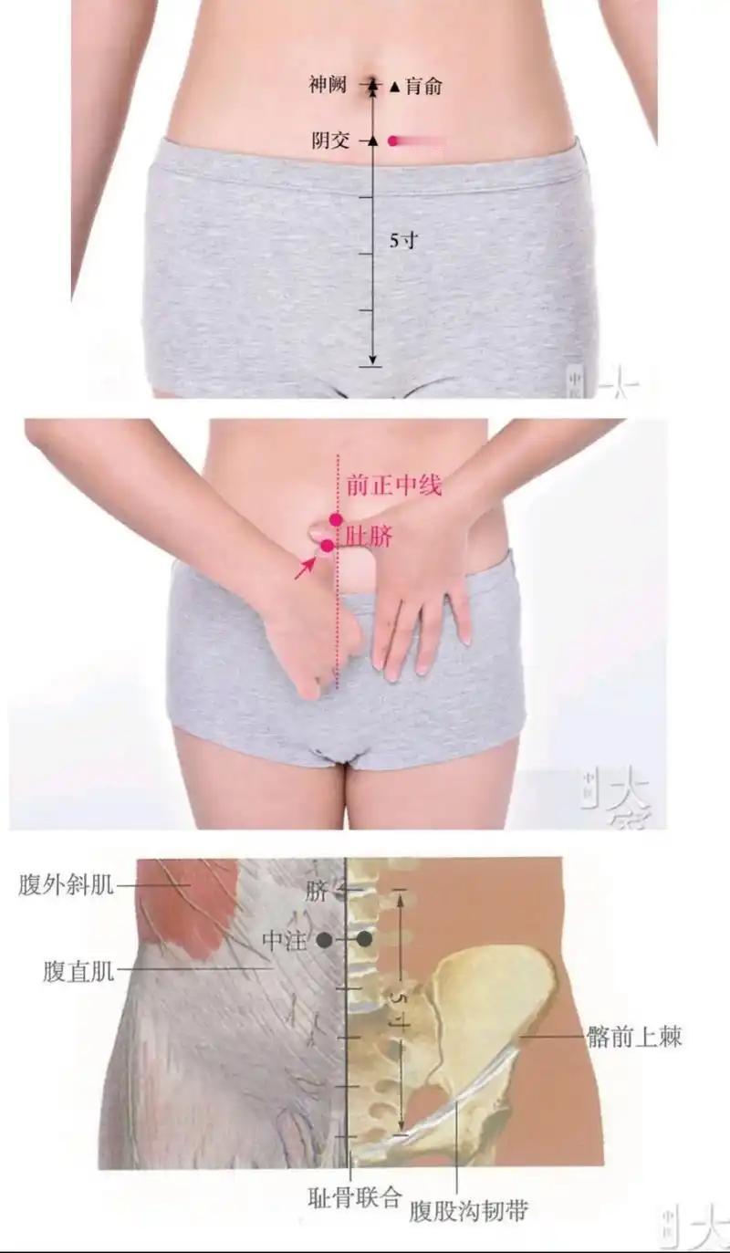 【每日一穴】中注穴：腹部的“水利工程师”，胀了堵了按这里！
你有没有这样的体验—