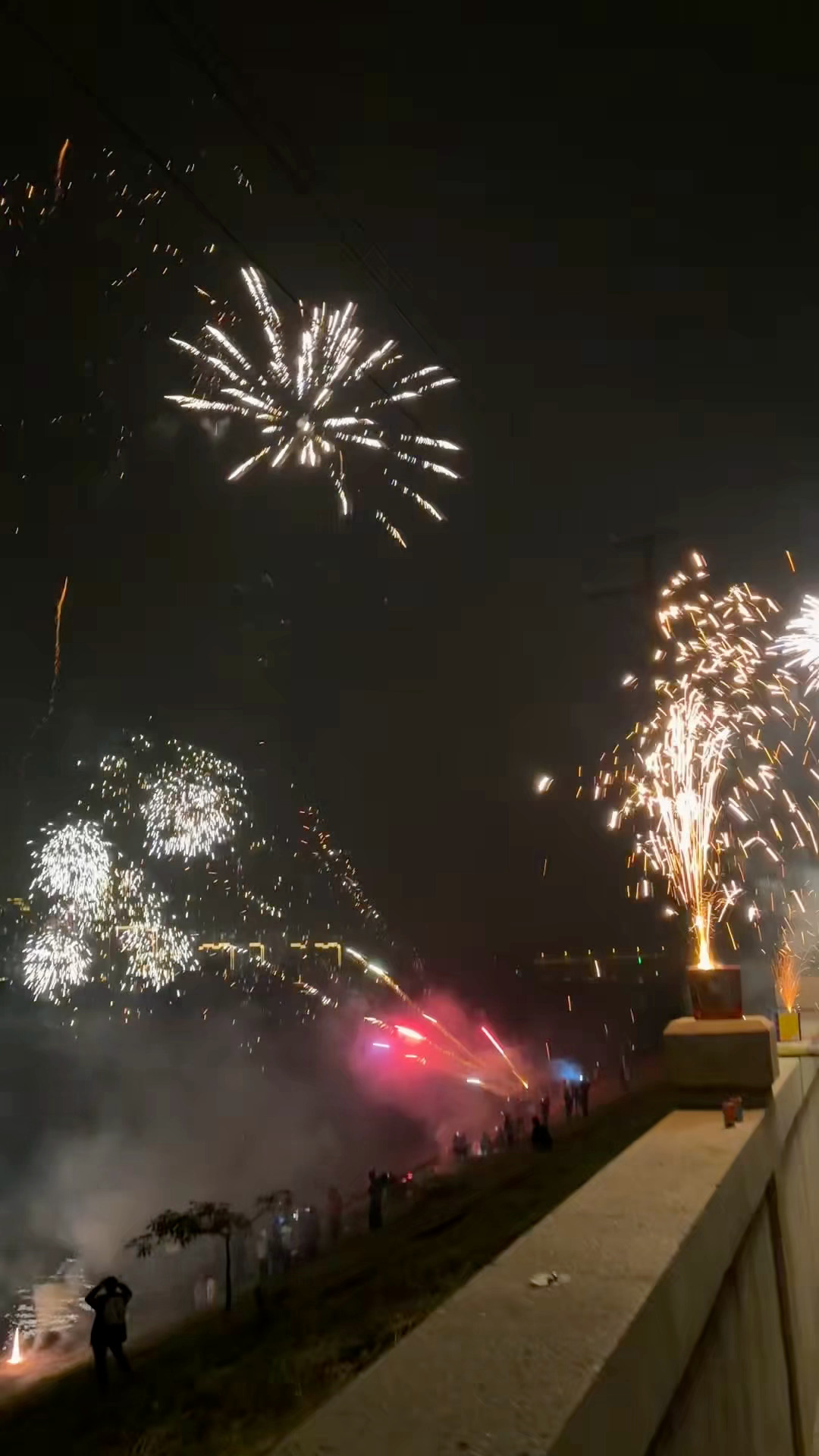 新年快乐呀🎆跟我的邻居放烟花～ 