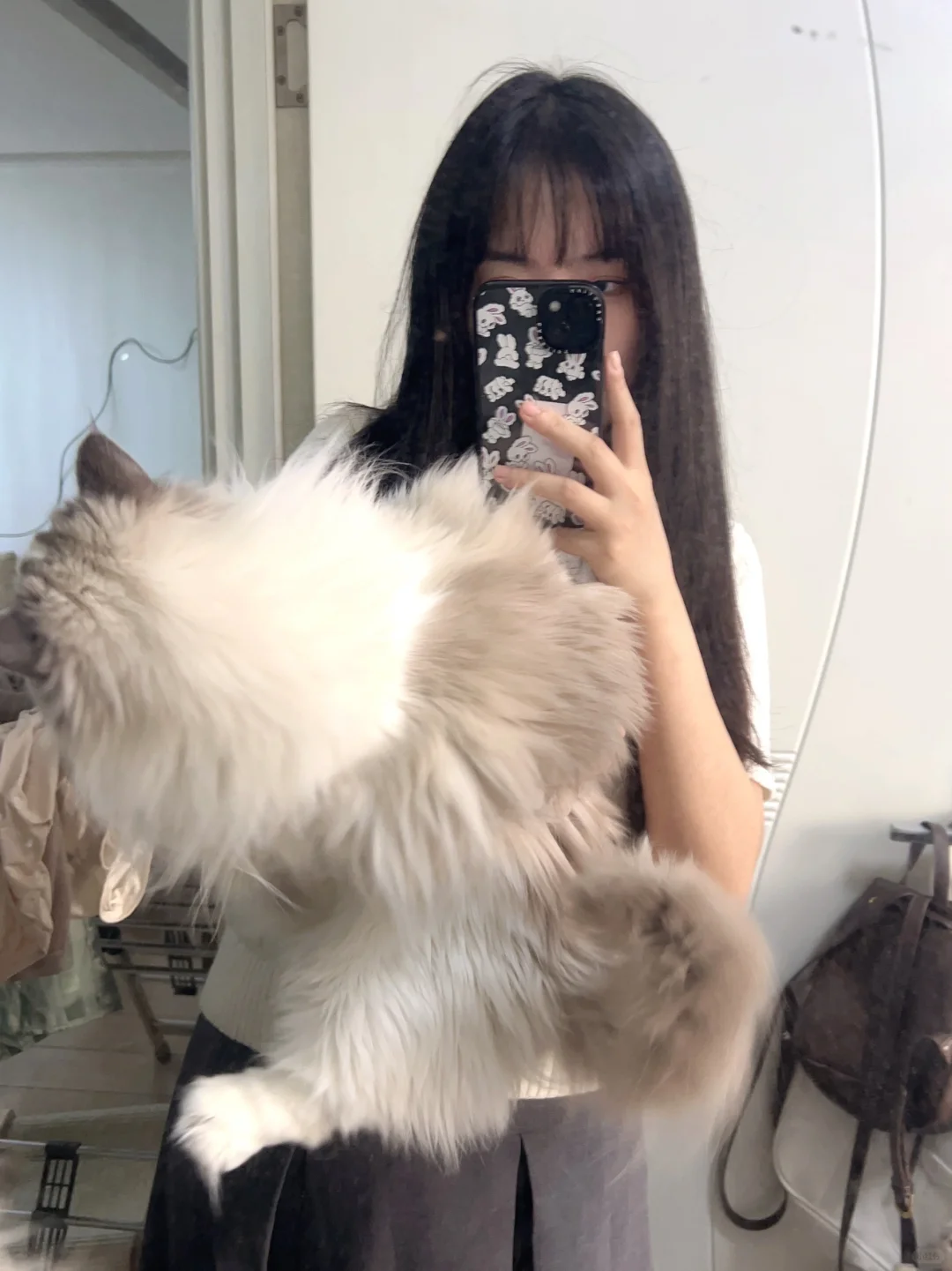 快抱不动这只十斤的小猪猫了