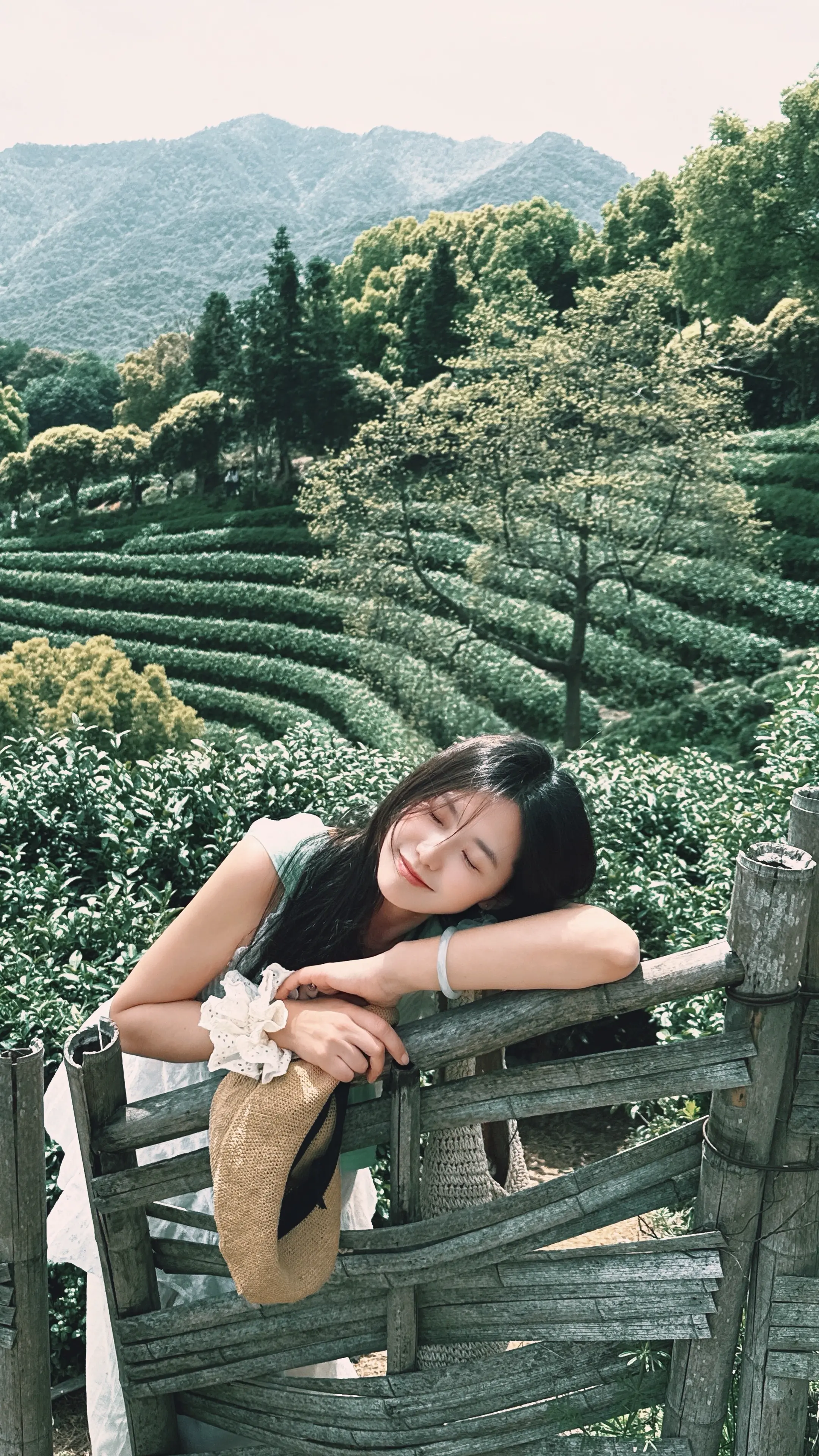 春天就要上春山 今天是采茶姑娘