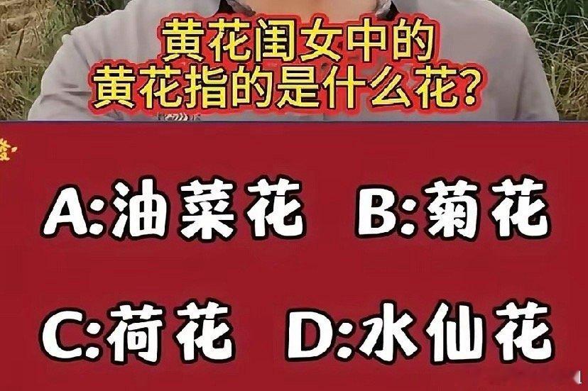 请问：黄花闺女中的“黄花”指的是什么花？A：油菜花，    B：菊花，C：荷花，