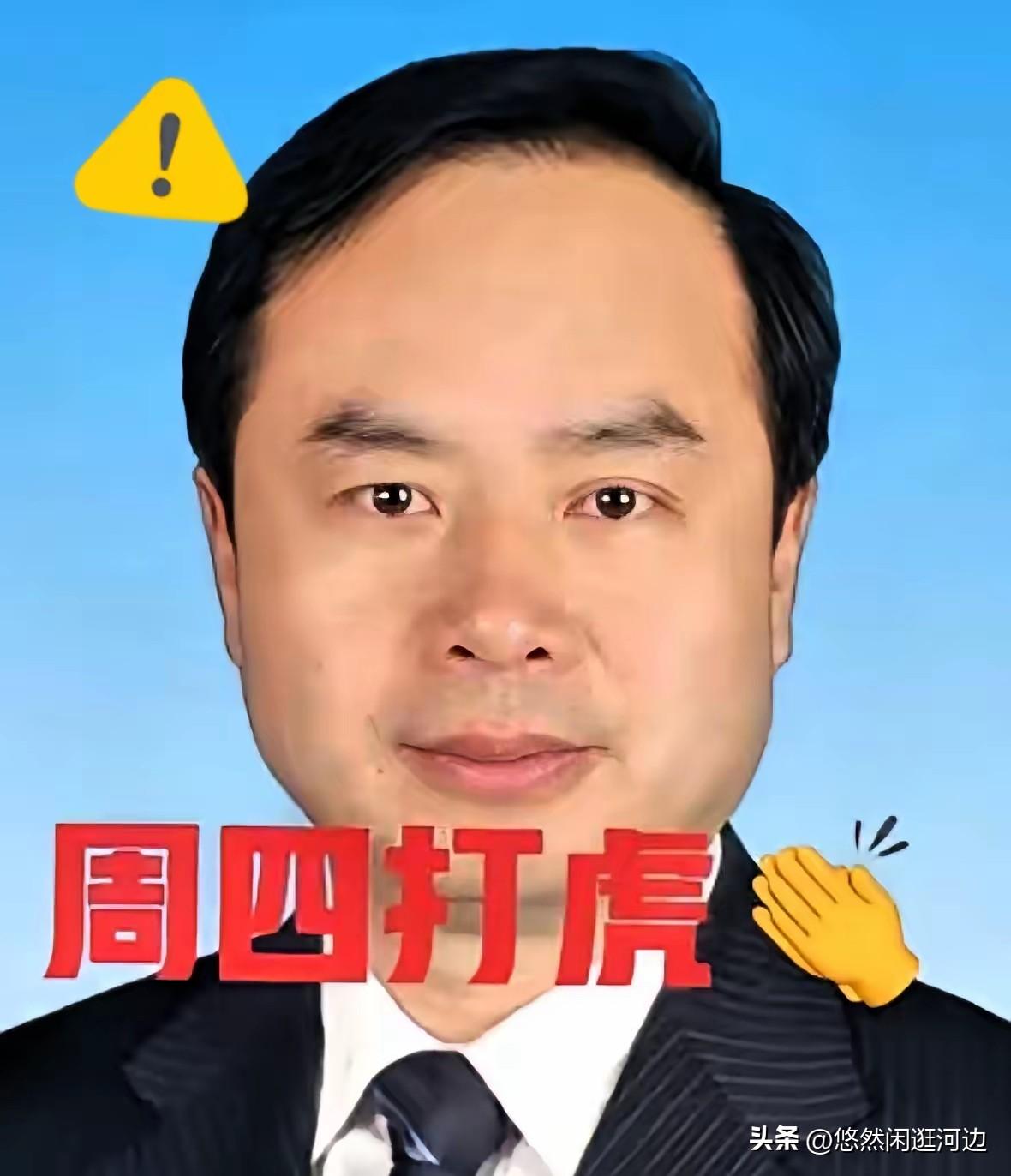 就在刚刚，又一位退休高官落马，彻底打破很多人的幻想！
64岁王奇被查，履历亮眼到