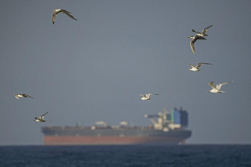 特朗普下令：美军立即封锁霍尔木兹海峡，切断伊朗石油出口命脉

如果说刚刚过去的二