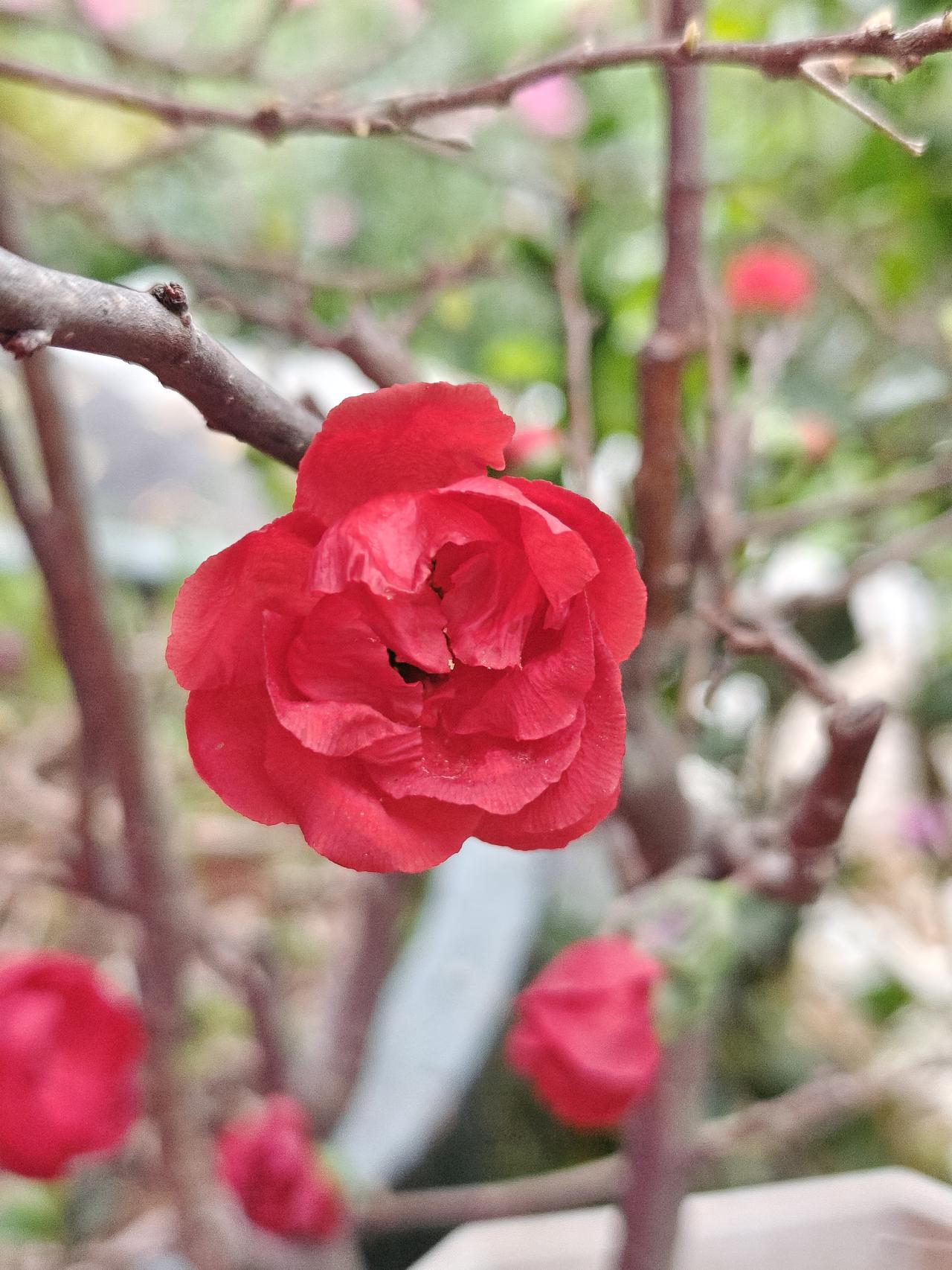 某条给了普通人一个在网上发表见解的机会，但经常出来露面发声的是一些妖魔鬼怪，是一
