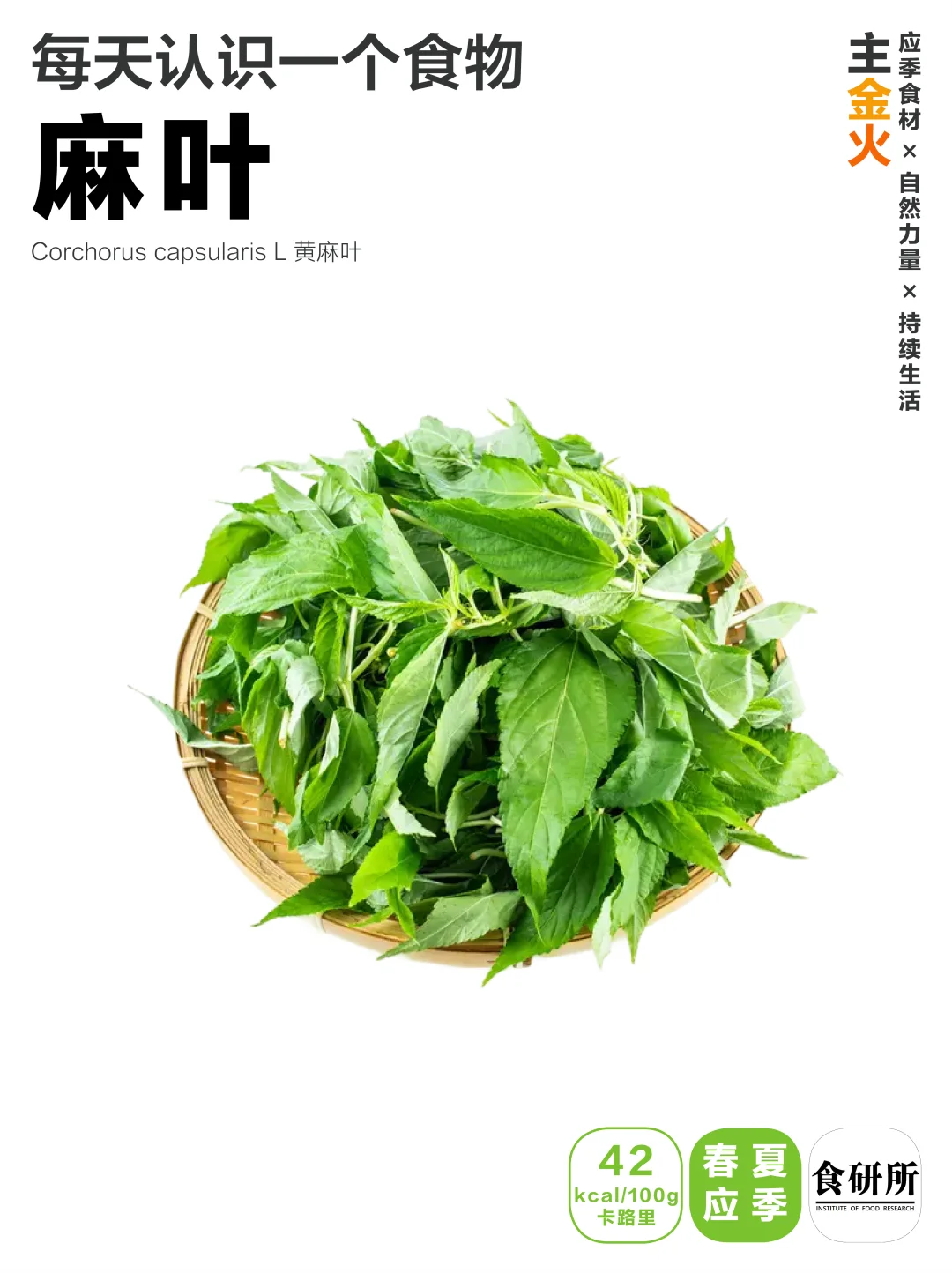🥬🥬夏日潮汕独享美食| 麻叶