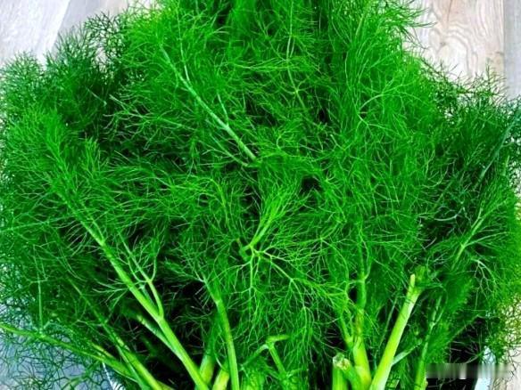 闺蜜家包的饺子，真是世上少有！
我们当地人都喜欢吃饺子，我闺蜜的家更是三天一大饺