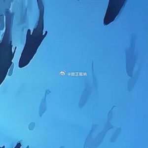 琉曦国，南疆之南，青澜湾。这里是山河的尽头，碧海的起点。一侧是层峦叠翠、延绵不绝