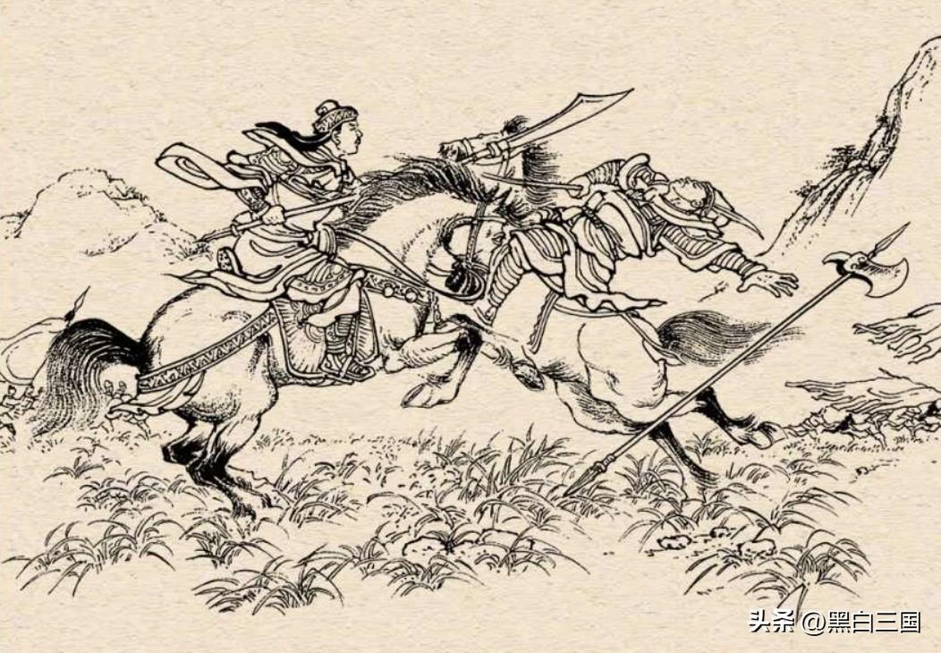 这个被斩杀的将领武艺是有点迷的。他曾跟王平交手不数合，甚至让对方主动退走。但后边