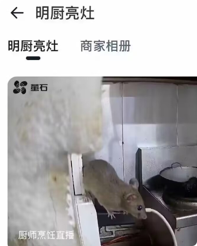 没人觉得这耗子很可爱吗，， 