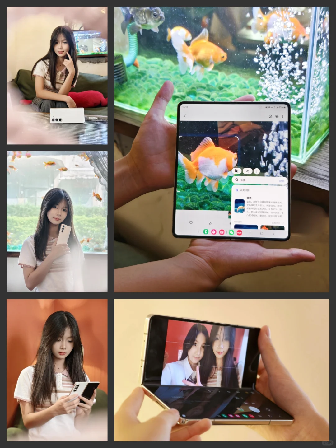 周末，与小金鱼的奇妙邂逅