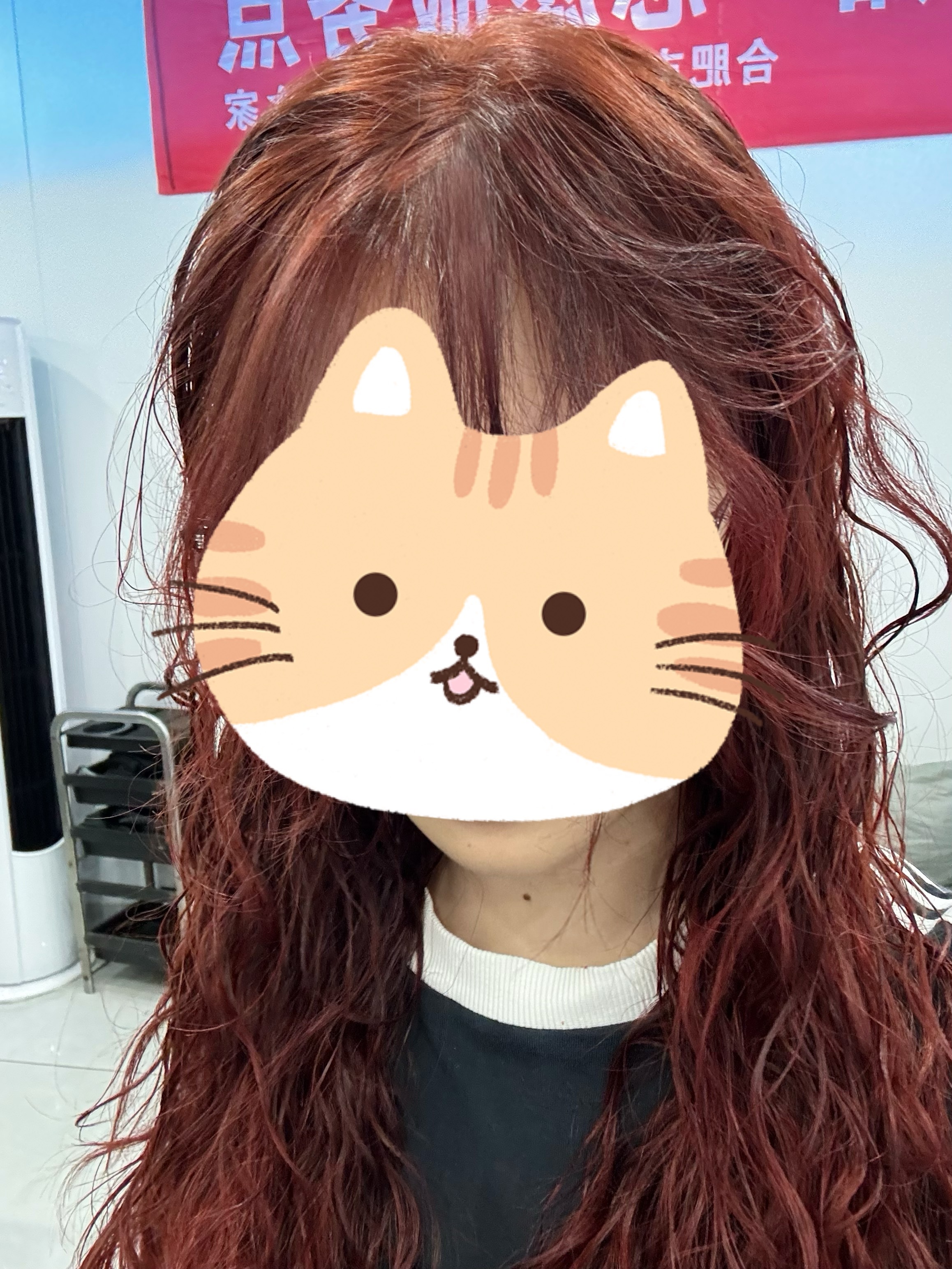 又到了红毛返场时间 
