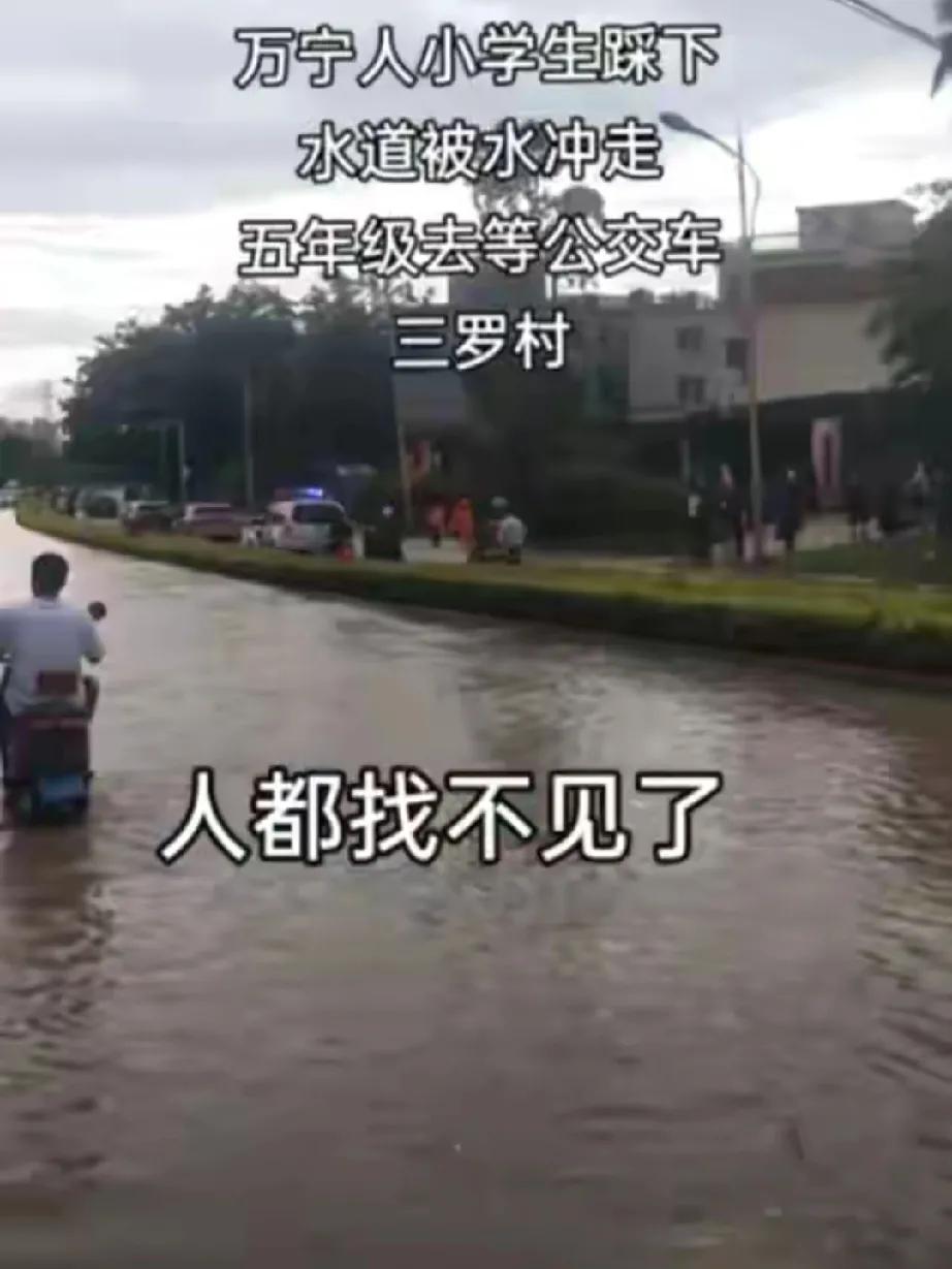 台风中的悲剧：11 岁少年生命的凋零

亲爱的读者朋友们，今天要给大家讲述一个令