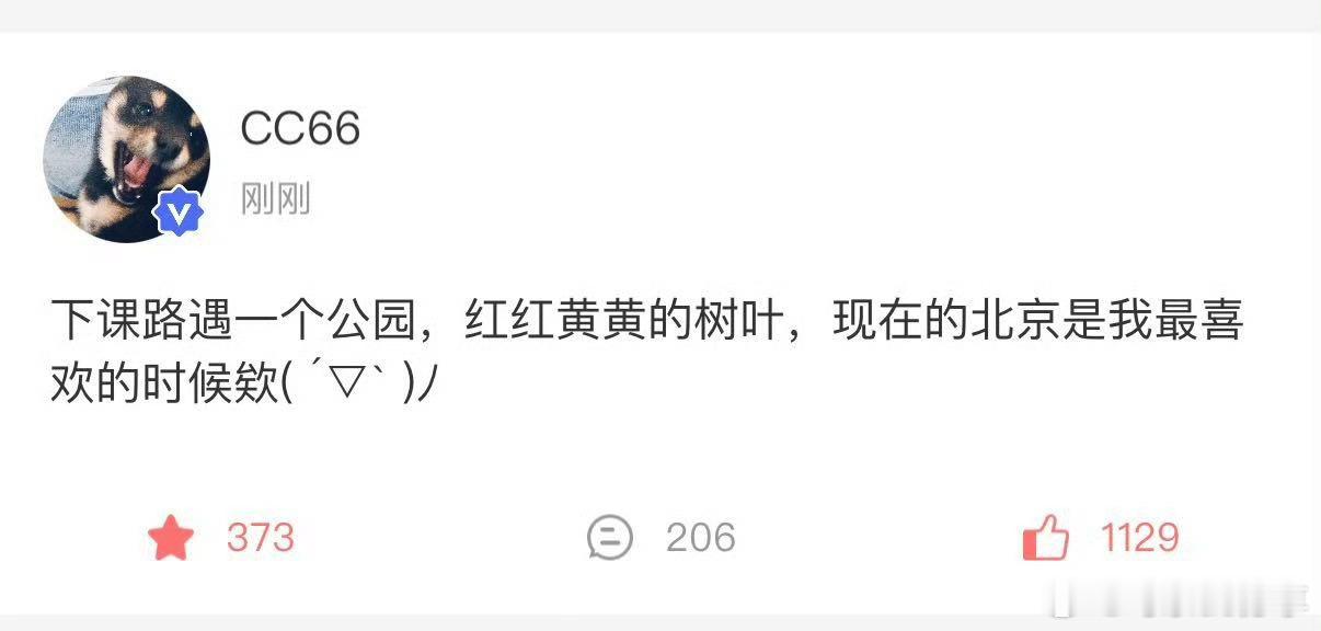 马嘉祺高会更新 