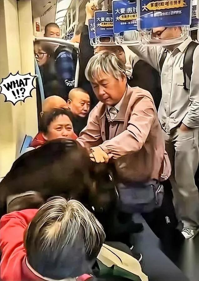 上海地铁那俩打人大妈

这回真踢到铁板了

搞不好还要留案底？

真的别总拿“老