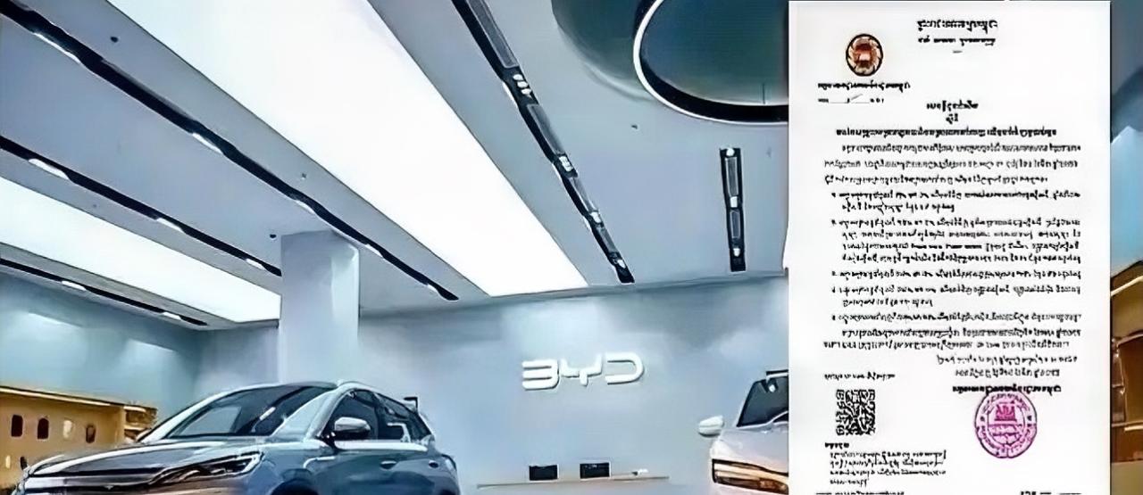 东南亚突然掀牌。柬埔寨从4月1日起，把面向中国的纯电车、充电桩、太阳能整套设备关