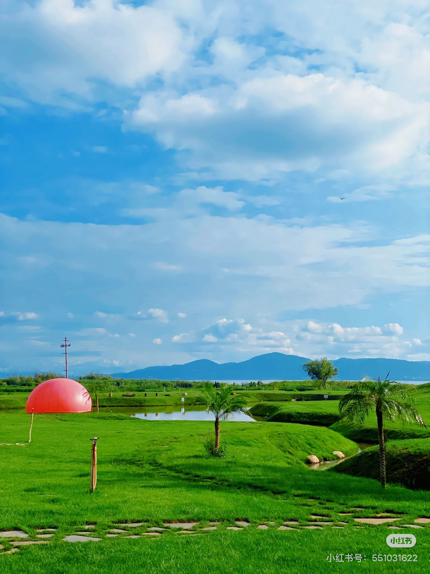 读书可以让人生变得更辽阔我的私人宝藏书单书评 风会吹散所有遗憾，海会接住每颗心碎