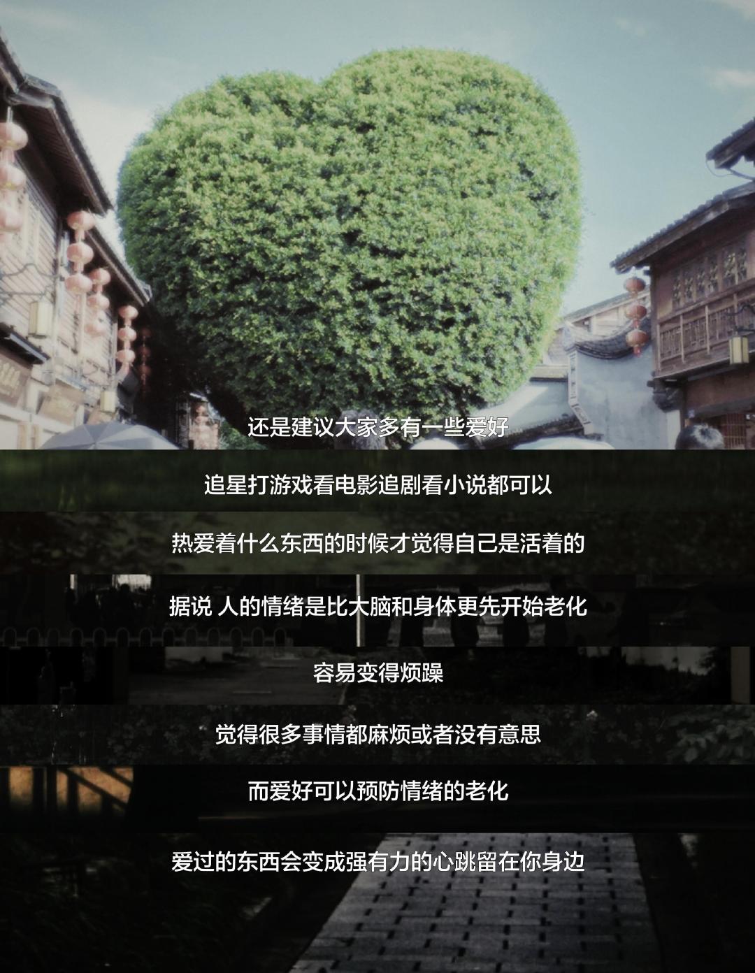 建议大家多有一些爱好，追星打游戏看电影追剧看小说都可以。热爱着什么东西的时候，才