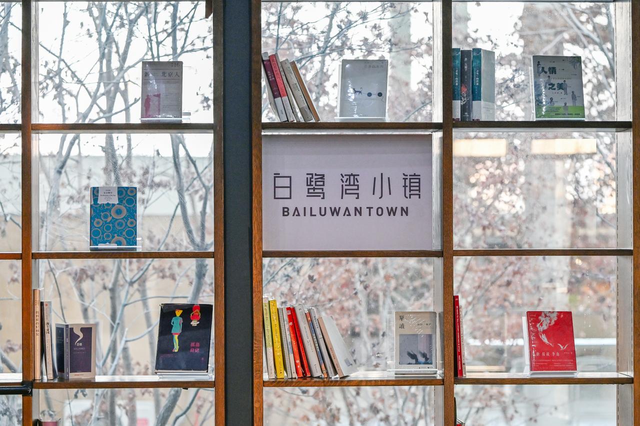 来白鹭湾怎么能不拍白鹭呢？
朔风渐紧，寒意愈浓，
广袤齐鲁迎来候鸟越冬栖息的佳期