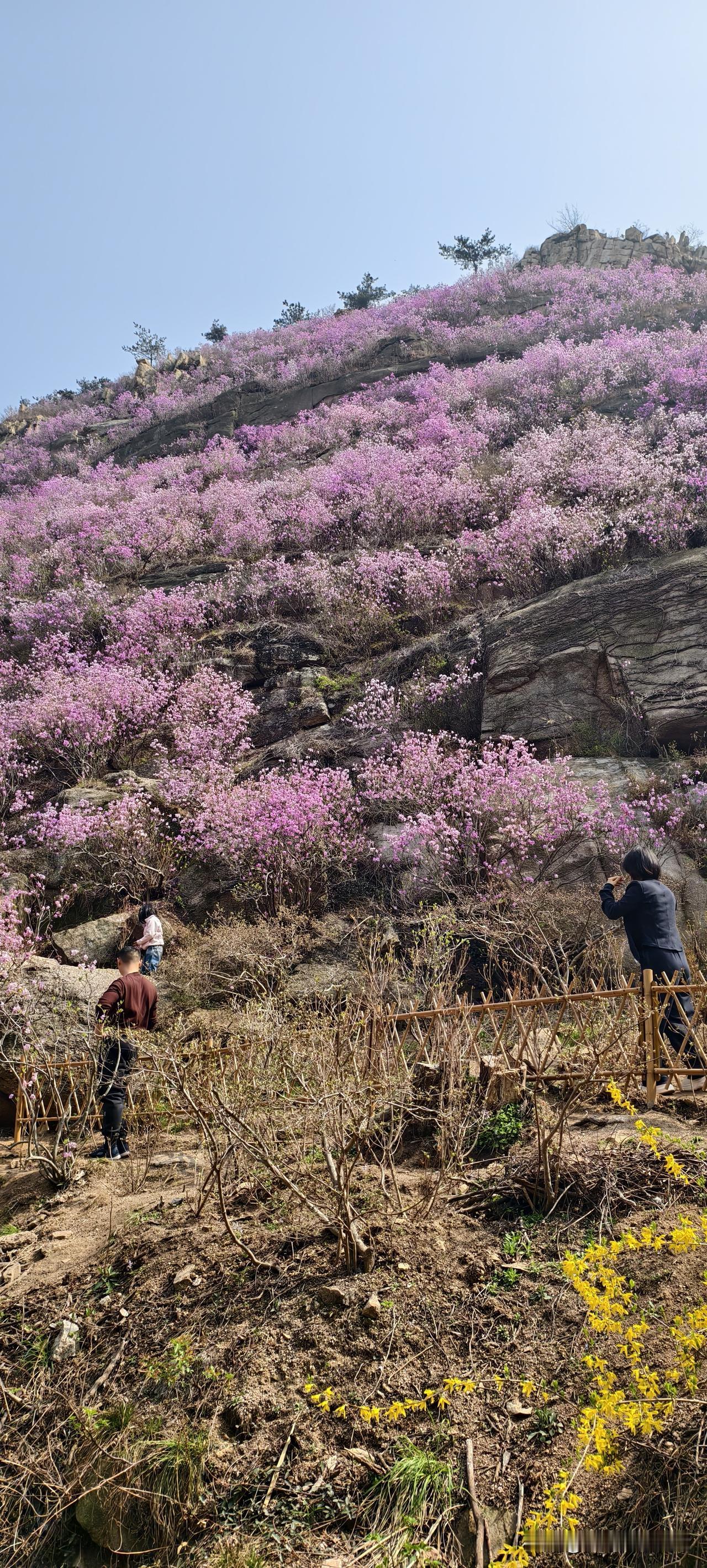 学会敷衍之后，我的人生轻松多了

先讲个真事儿。

以前我有个毛病，谁来搭话我都