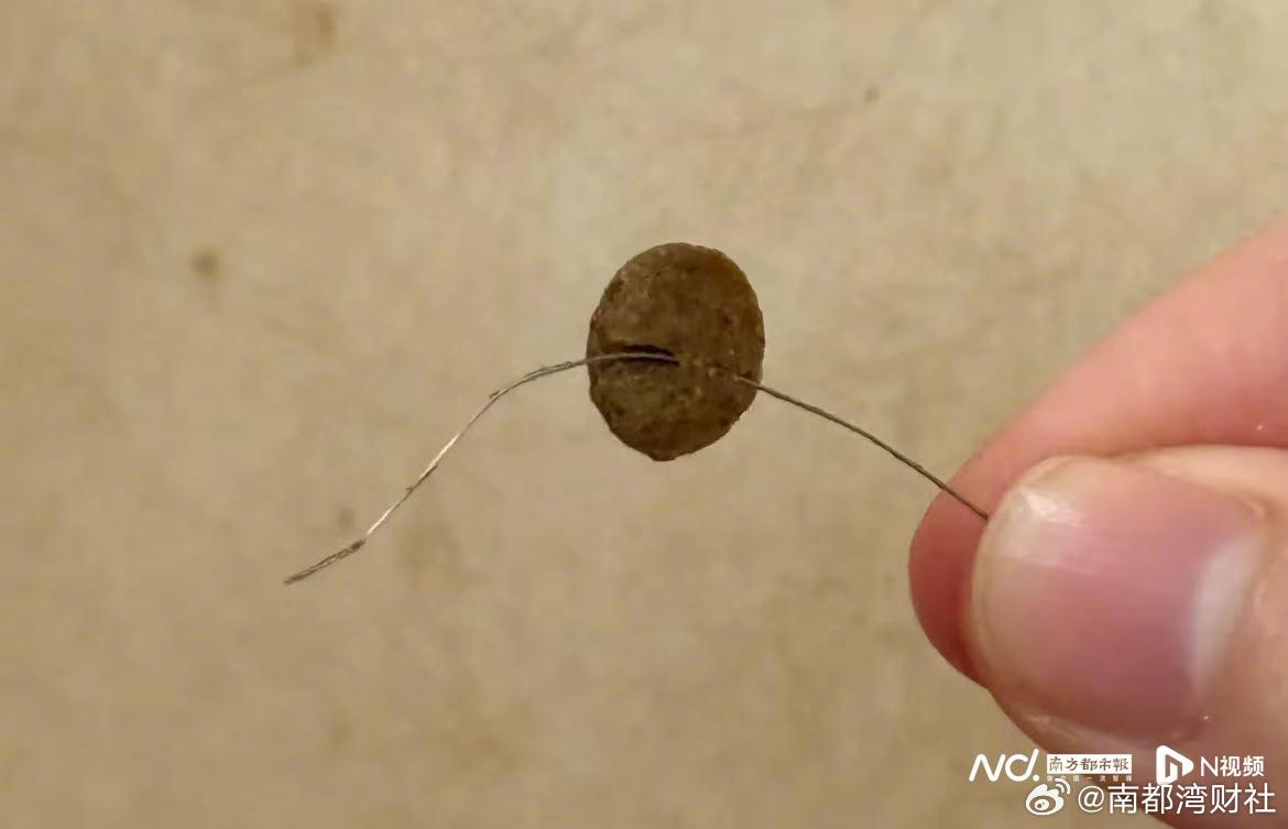 【鲜朗猫粮中被发现有钢丝？客服：产品会经过金属探测仪检测】#鲜朗猫粮被指有钢丝#