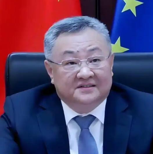 12月15日，傅聪在联合国安理会发言，再次敦促日方撤回错误言论。自11月7日日本