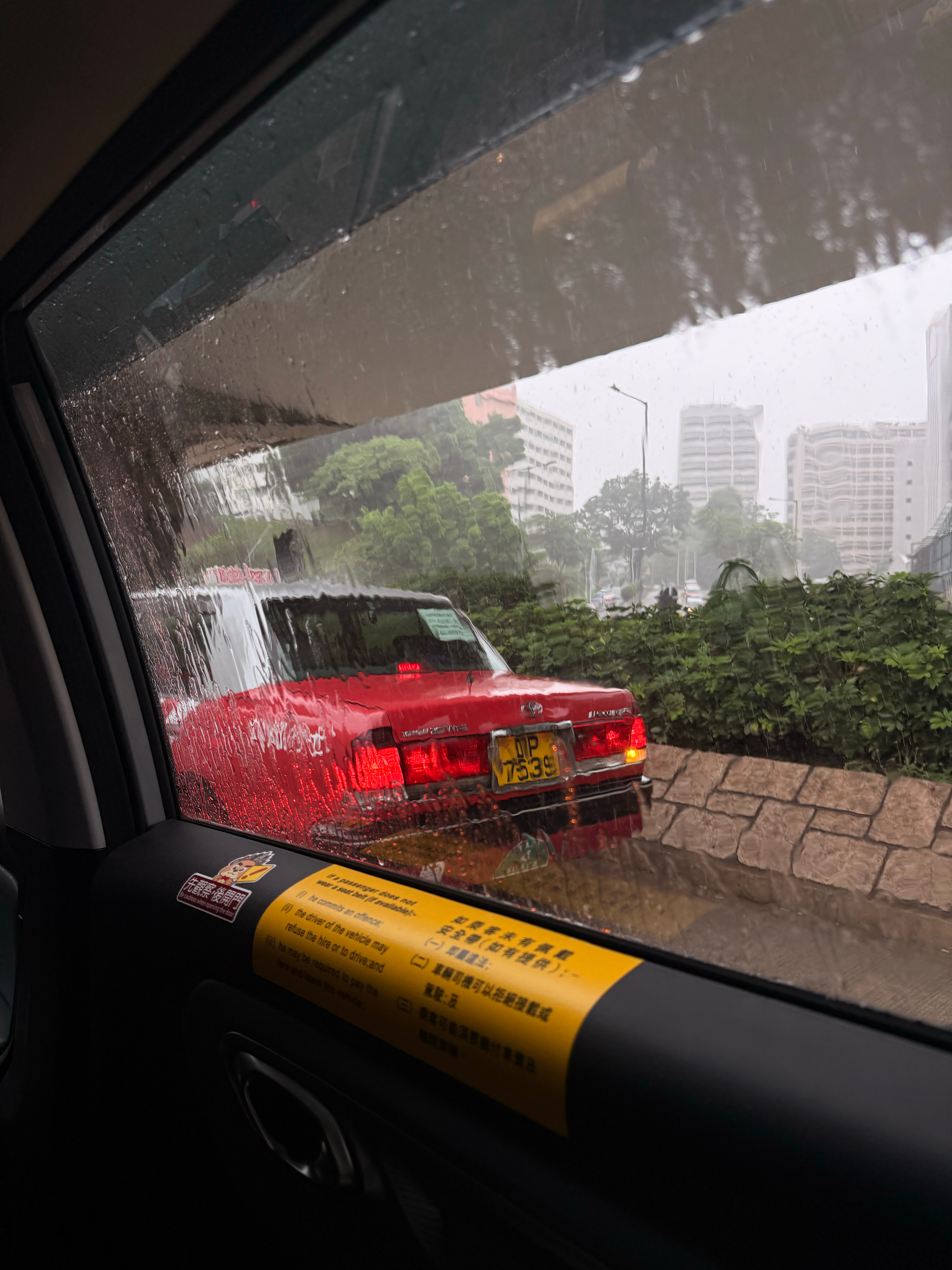 落雨中🌧️ 